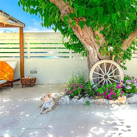 Semesterbostad Pretty Spiti Laganas