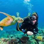 Pretty Spiti * Λαγανάς