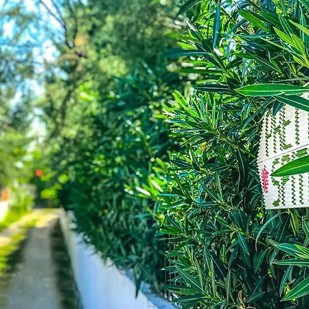 Pretty Spiti 펜션 *